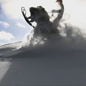 Meet your Posher, Tanner